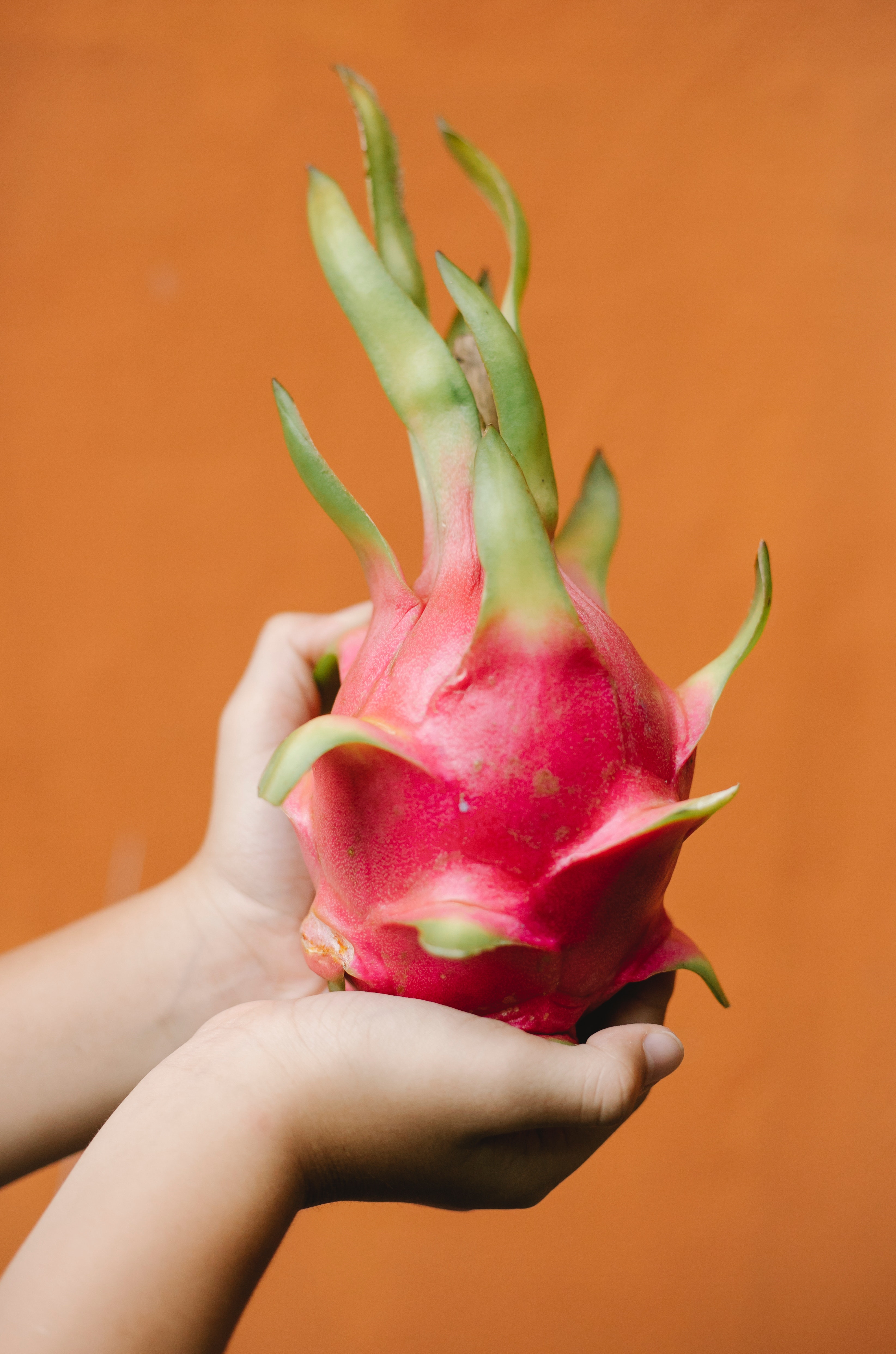 Dragon Fruit Health Benefits