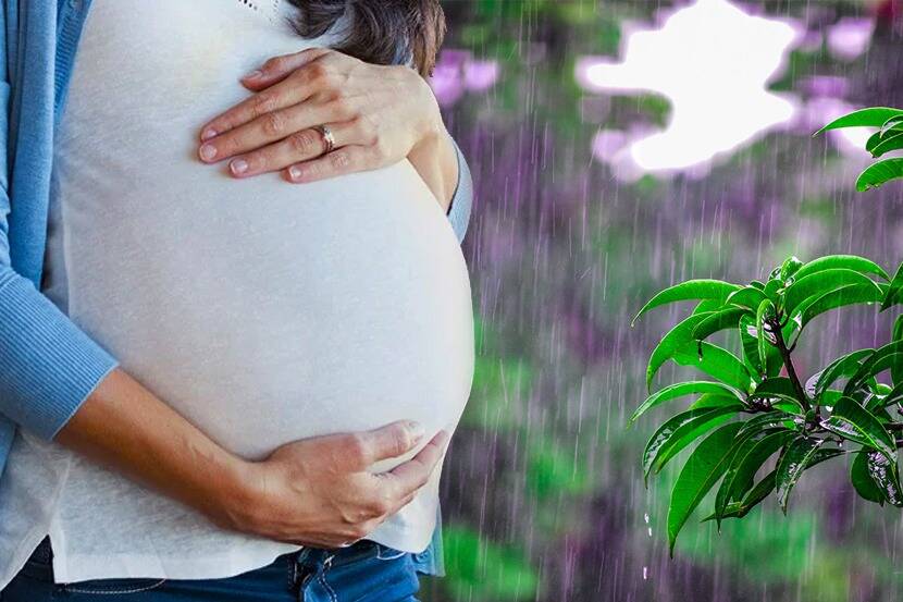 Pregnant Women Should Avoid doing these things that can cause excessive pain during birth 