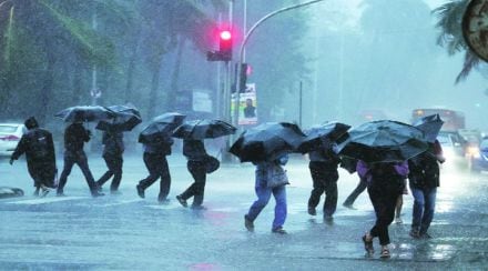 pv rain
