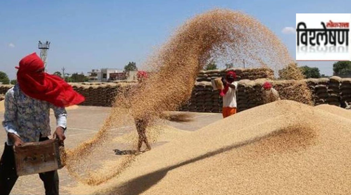 विश्लेषण: रब्बी शेतमालाचे हमीभाव काय सांगतात? | rabi crops msp 2022 23 ...