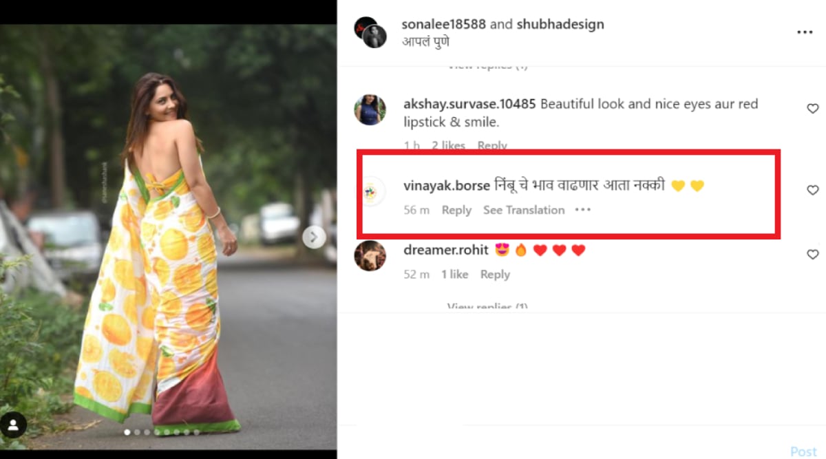 sonalee kulkarni photoshoot in saree