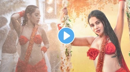 urfi javed new song
