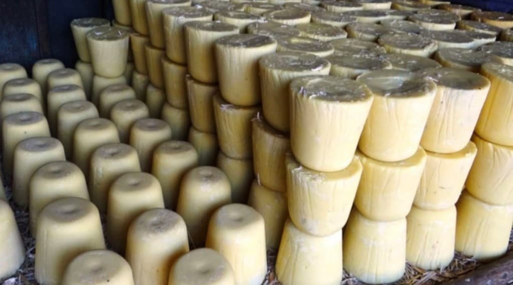 The price of Kolhapuri jaggery increased after the agitation of jaggery farmers