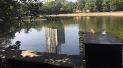 ब्रम्हाळा तलावाच्या आवारात गर्दुल्ल्यांचा वावर जेष्ठ नागरिक हैराण