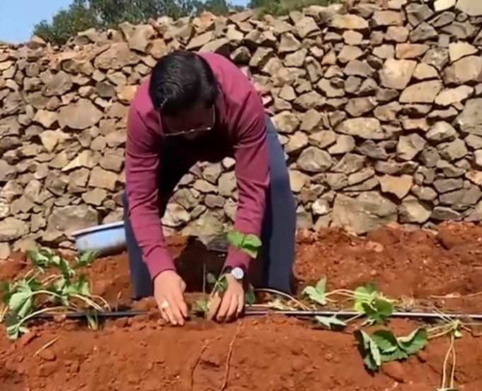 मुख्यमंत्री स्वत: शेतात काम करताना पाहून गावकऱ्यांनाही आनंद झाला.