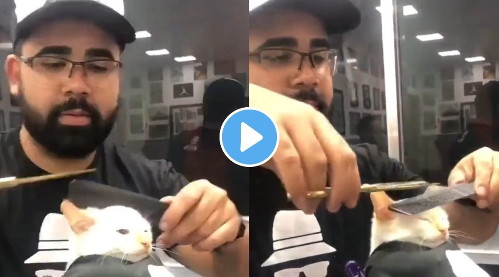 Cat sits patiently for haircut viral video wins internet