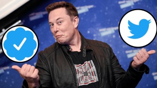 Elon Musk Announce Twitter Blue Tick Available In Three Colors For Account Verification Check Rules And Cost