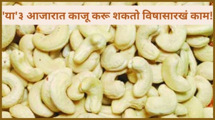 Can Increase threat of Blood Pressure Heart Attack Kidney Stone Watch Side Effect of Kaju For Three diseases Can Increase threat of Blood Pressure Heart Attack Kidney Stone Watch Side Effect of Kaju For Three diseases