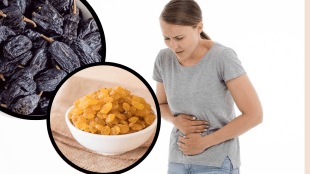Side Effect of Raisins Can Work Like Poison in Body Should we Soak Black Raisins Before Eating How it Affects Blood