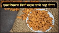 बदाम खाल्ल्याने ‘हे’ ४ त्रास १०० च्या वेगाने वाढू शकतात! एका दिवसात किती व कसे बदाम खाणे आहे योग्य?