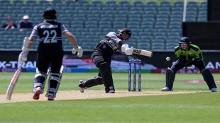 T20 World Cup 2022 Kane Williamson's half-century gives New Zealand 186-run challenge against Ireland