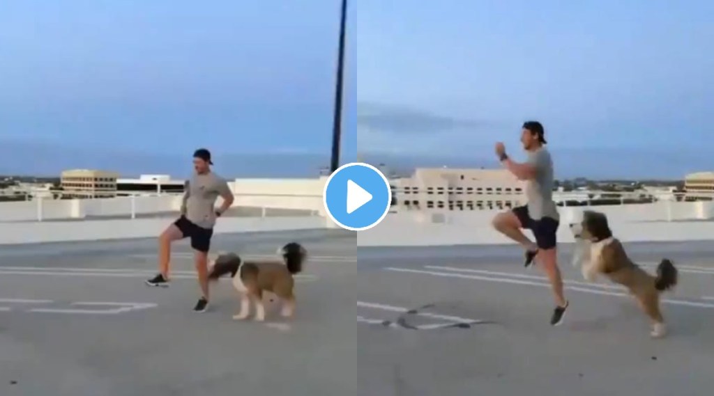 Harsh Goenka shares adorable viral video of a dog immitating jumping man it will definately make you smile