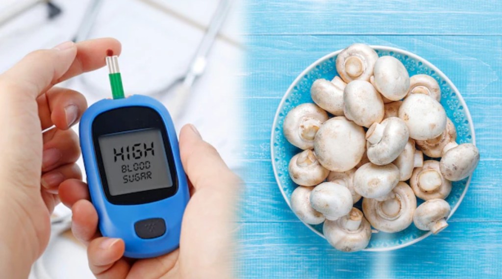 Mashroom helps to control Blood Sugar know its benefits for diabetes patients Mashroom helps to control Blood Sugar know its benefits for diabetes patients