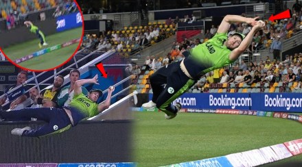 McCarthy fielding