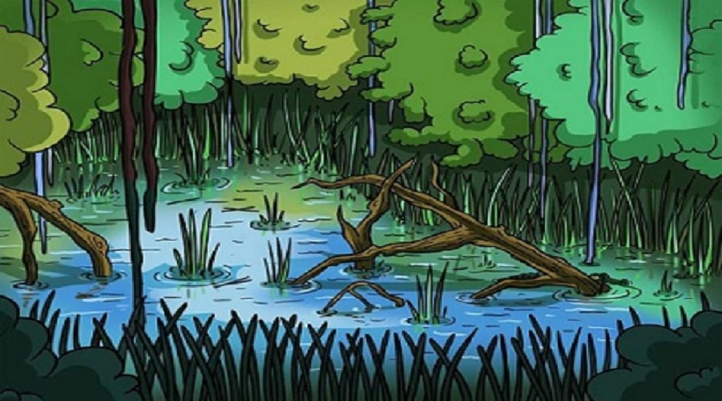 optical illusion optical illusion