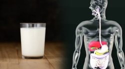 आयुर्वेदानुसार दुधासोबत ‘या’ ५ गोष्टी एकत्र केल्यास बनतात विषासमान; चुकूनही यांचे सेवन करू नका