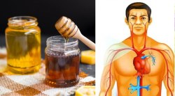 २ चमचे मध Blood Sugar आणि Cholesterol नियंत्रणात ठेवू शकते का? जाणून घ्या तज्ज्ञ काय सांगतात