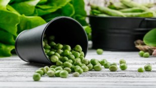 Peas have many health benefits that can be helpful in some diseases Know more