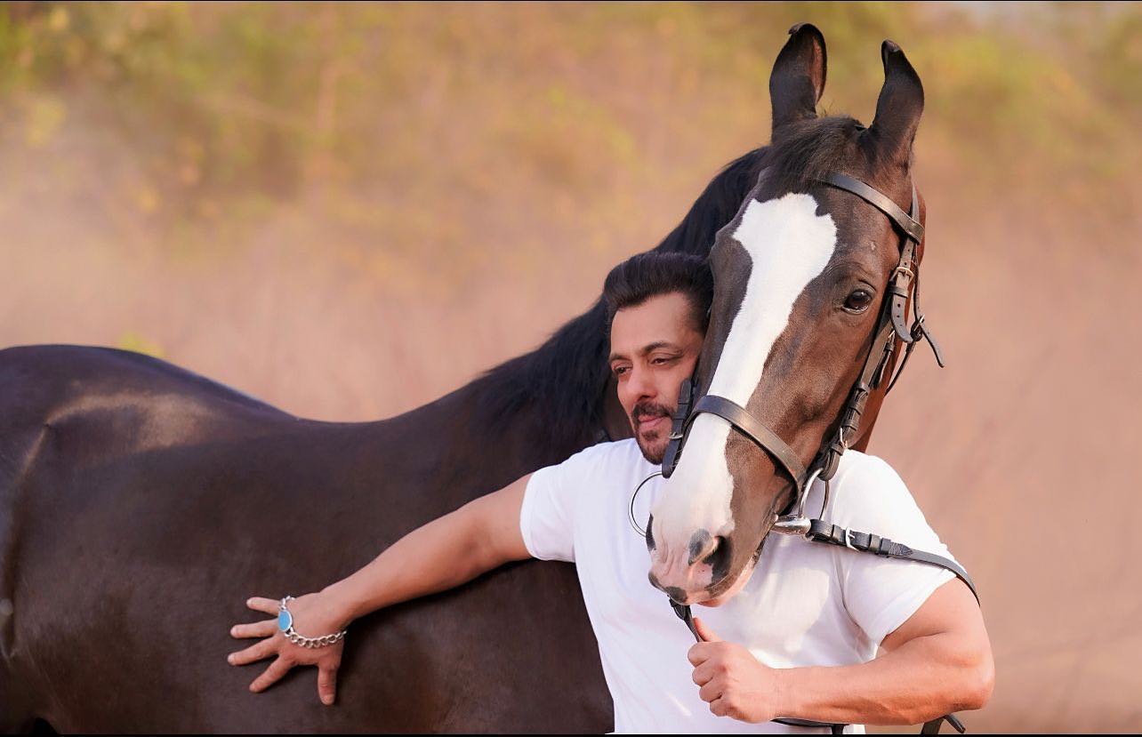 Salman Khan Family Education