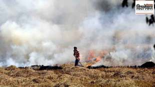 Stubble-burning