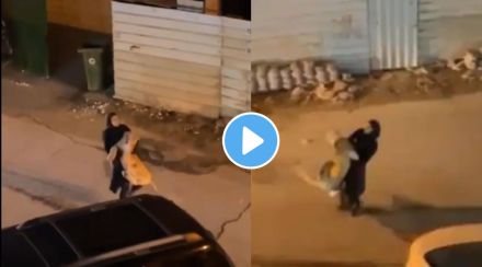 Woman and Lioness Woman and Lioness