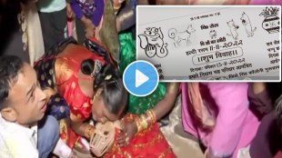 dogs wedding in haryana