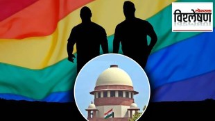 same sex marriage representative image