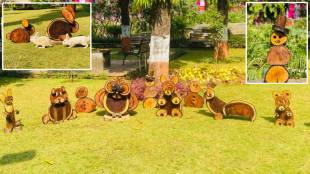 Wooden Birds and Animal