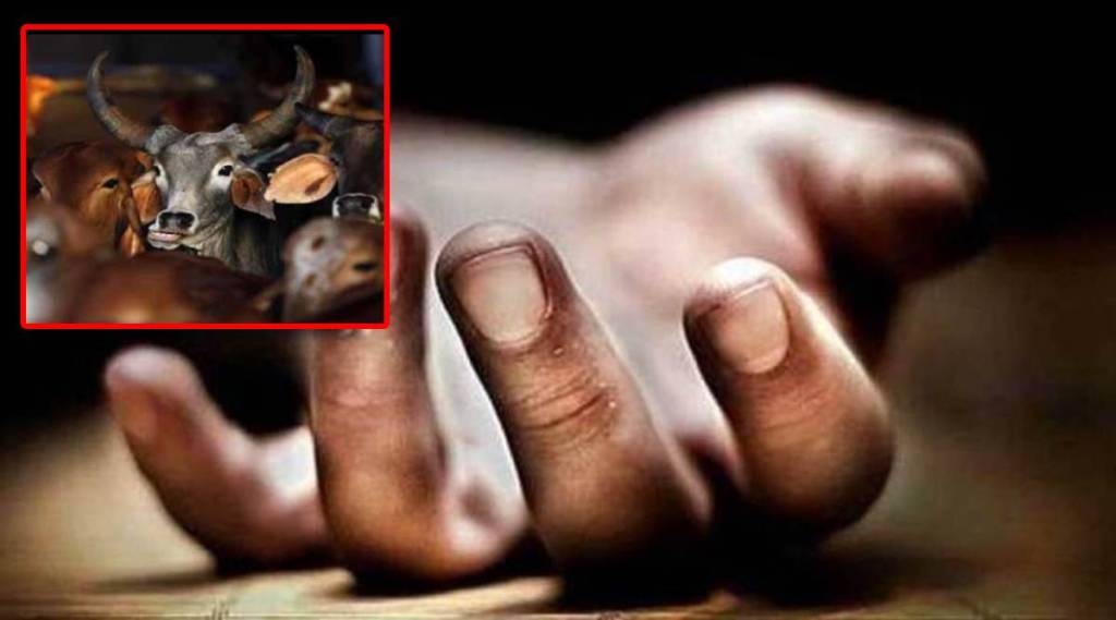 bull blow elder women death