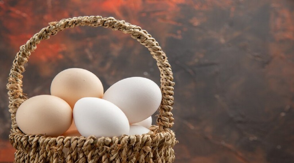 color egg white or brown
