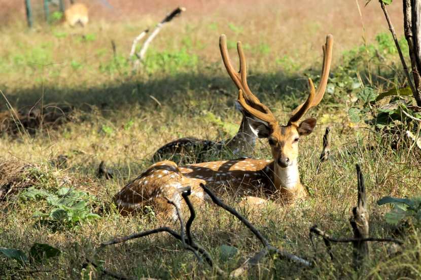  ताडोबा अंधारी व्याघ्र प्रकल्पातील निसर्ग पर्यटनासाठी कोअर क्षेत्रातील एकूण ६ आणि बफर क्षेत्रातील १४ प्रवेशद्वारे आहेत.