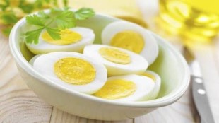 eggs