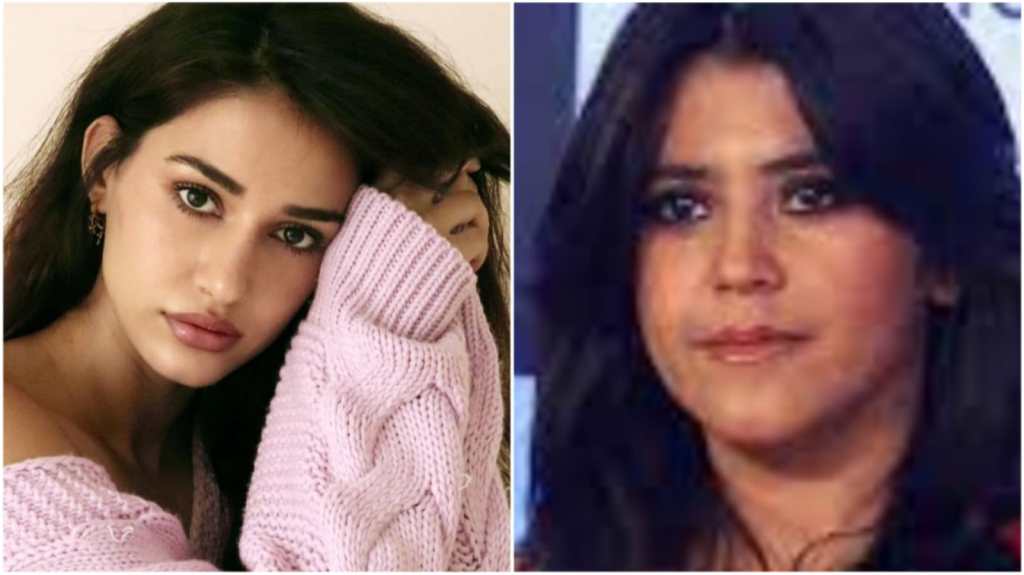 ekta disha