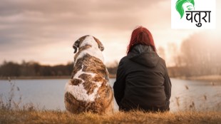 pet dog women friendship trust