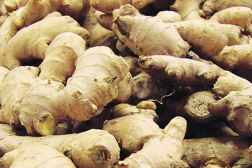 food for winter 