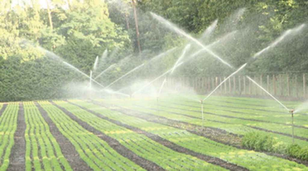 maharashtra cabinet approves irrigation project in mla bacchu kadu constituency