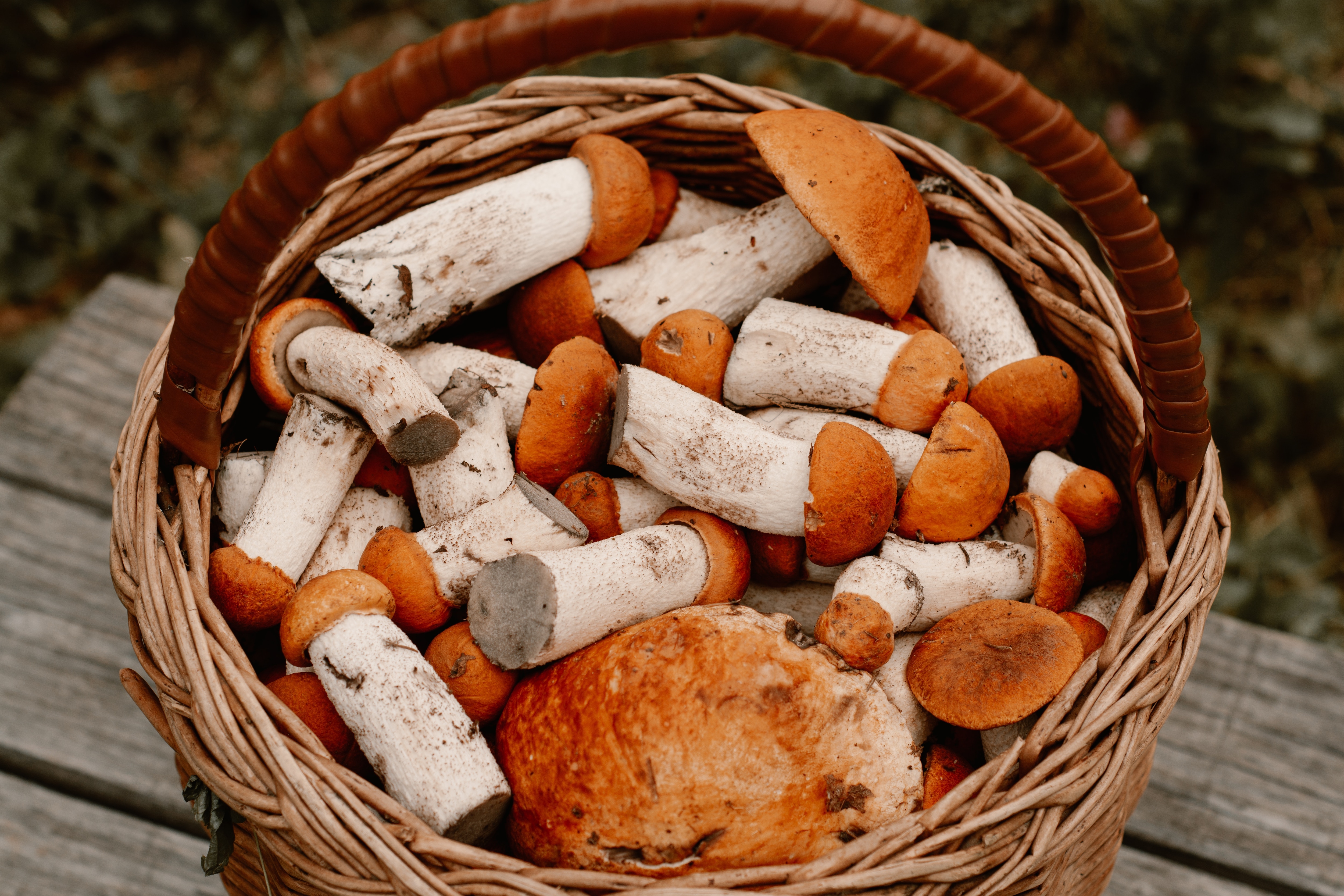 diabetes cholesterol mushrooms superfood 