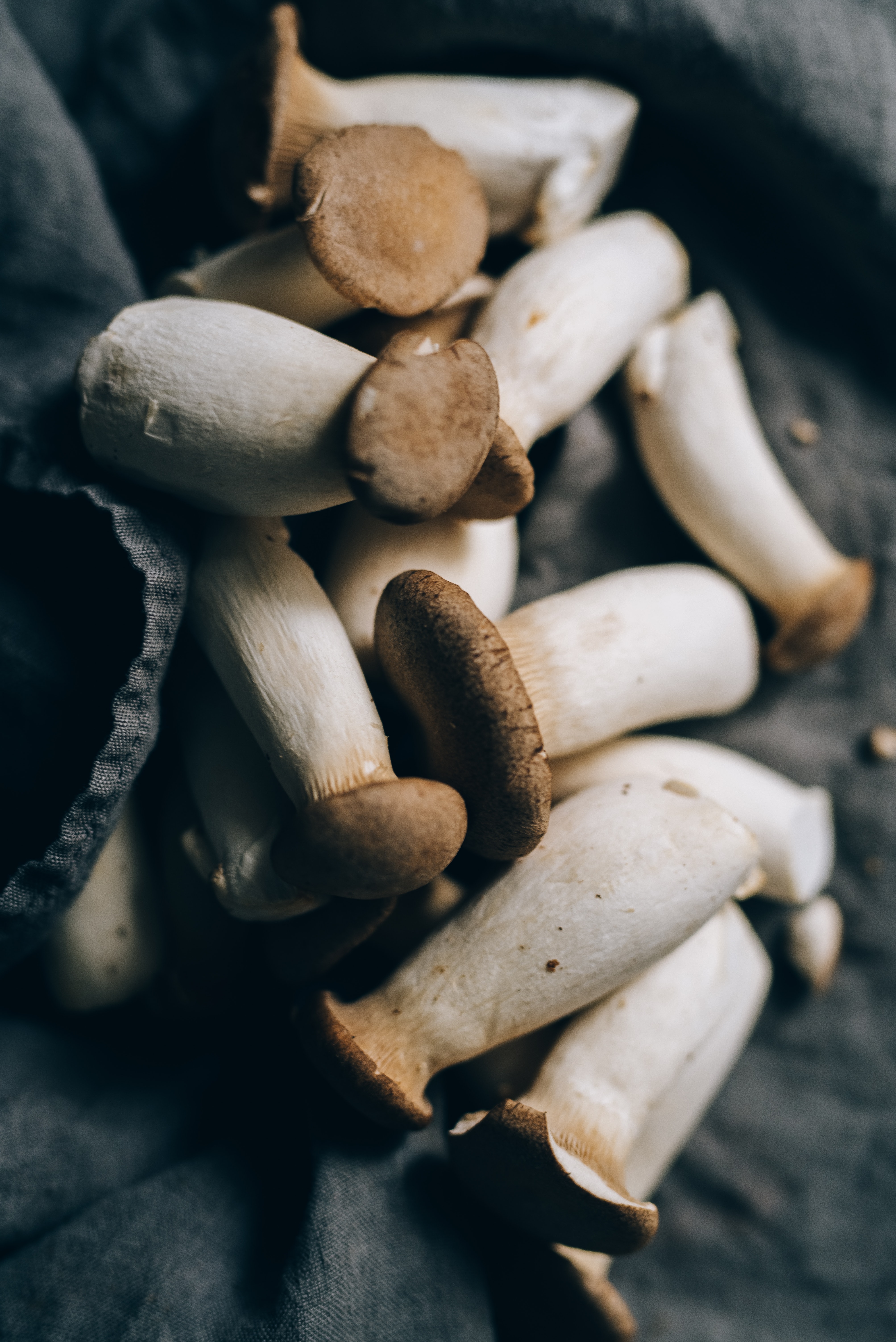 diabetes cholesterol mushrooms superfood 