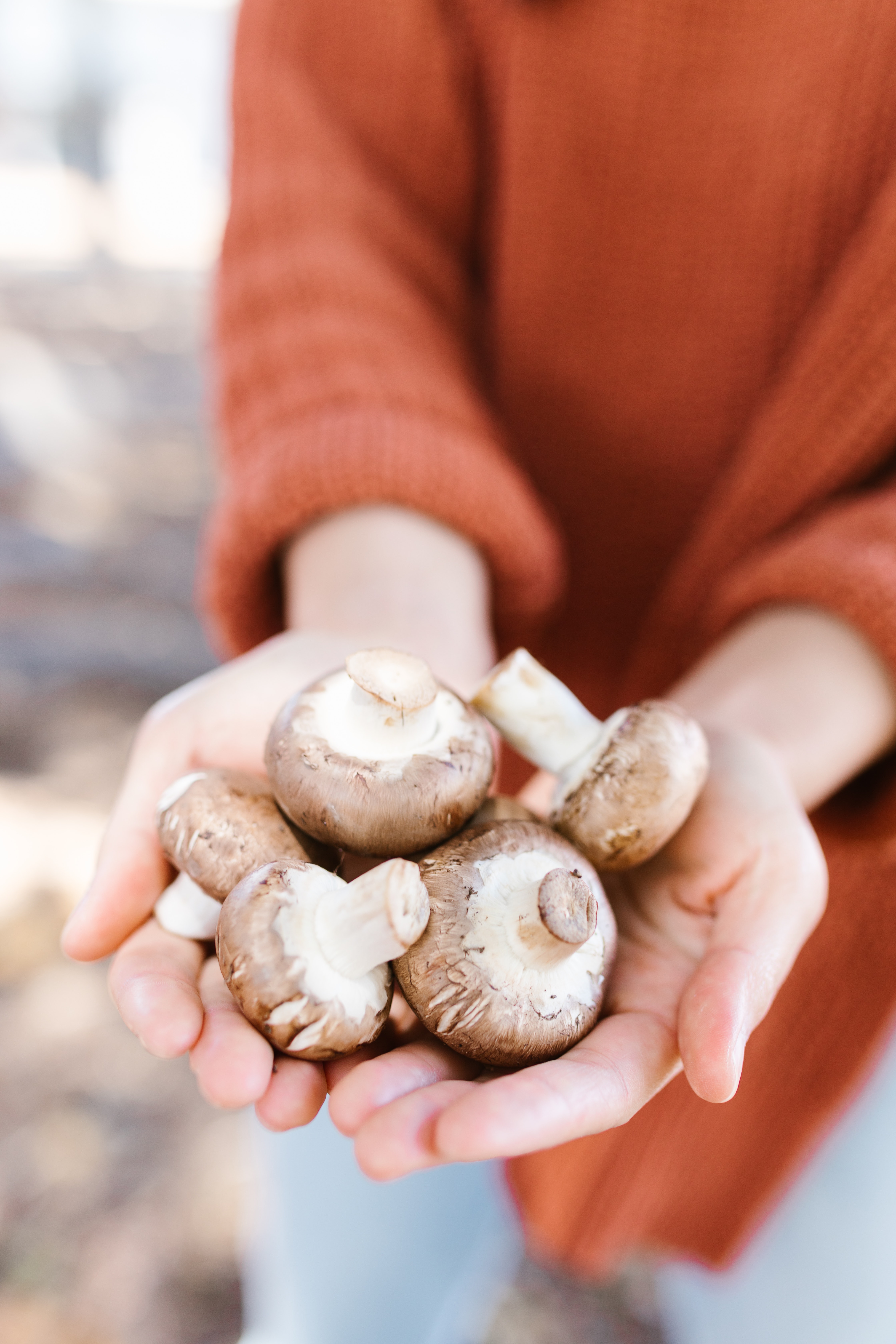 diabetes cholesterol mushrooms superfood 