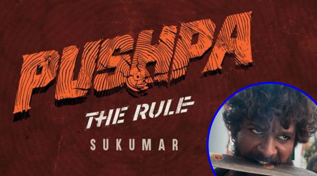 pushpa 2 release date pushpa 2 release date