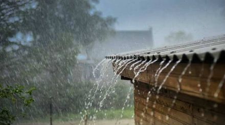 rain 22