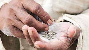 De addiction guidance for youth,