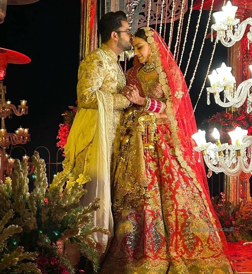 hansika motwani wedding