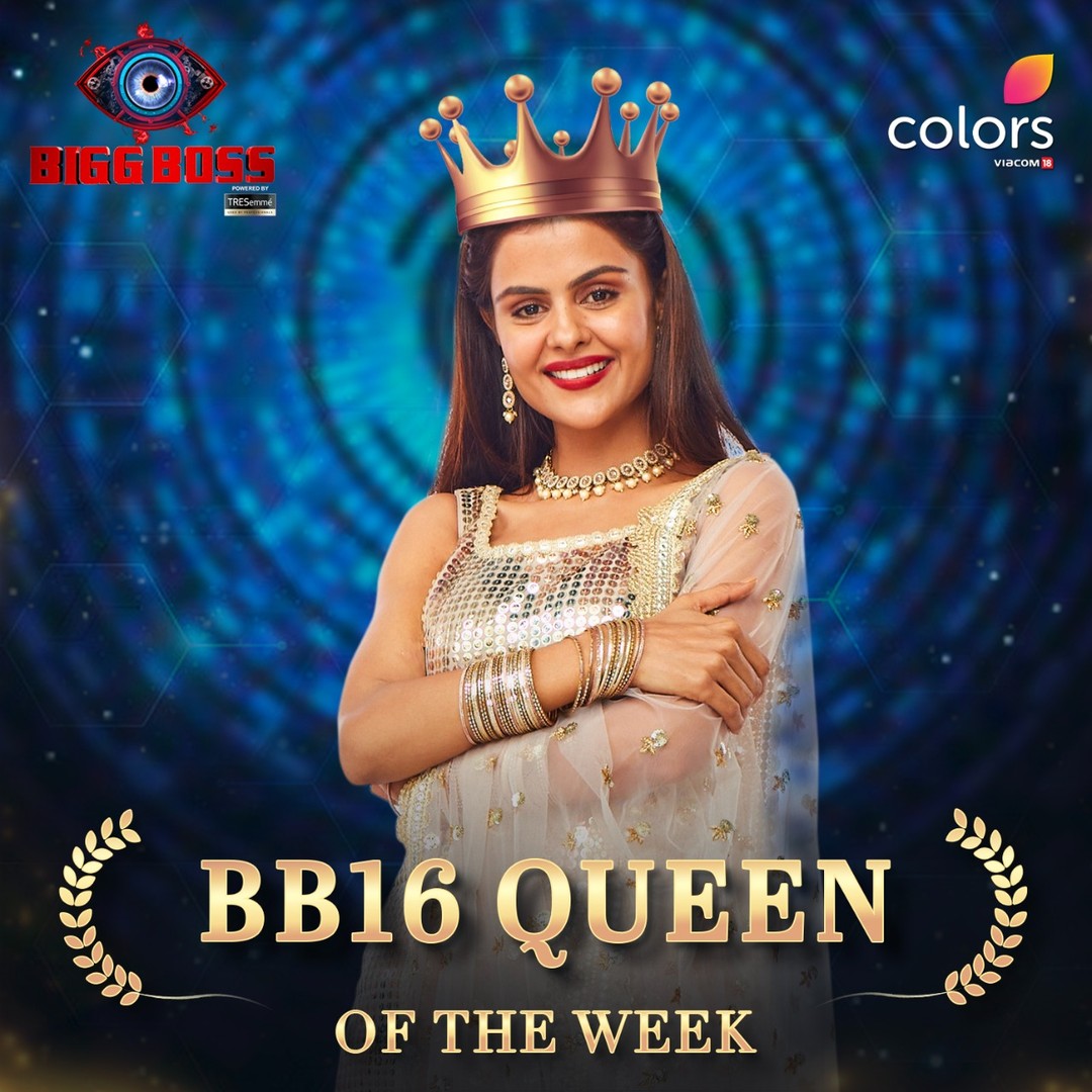 Bigg Boss 16 Wild Card Contestants