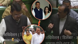 Ajit Pawar Fadanvis wife