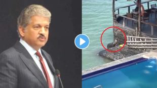 Anand Mahindra shared seal fish video