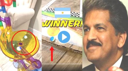 Anand Mahindra twitter viral Video