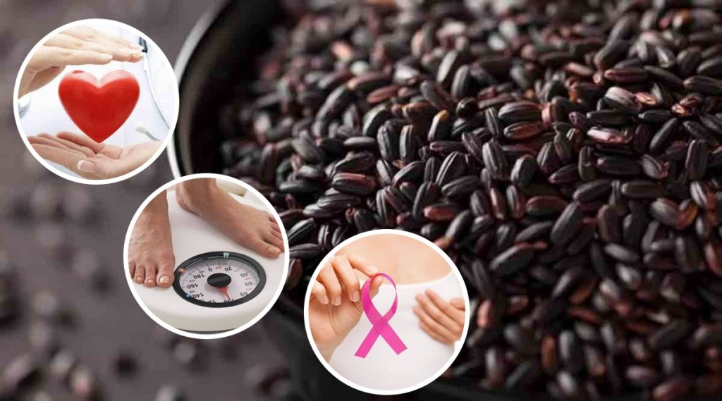 Black Rice Benefits Black Rice Benefits