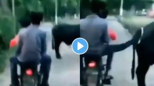 Viral video