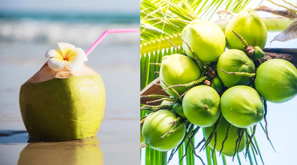 Coconut Water Benefits